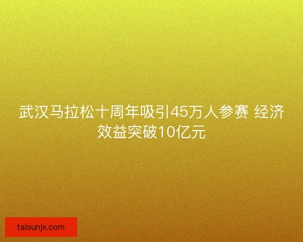 武汉马拉松十周年吸引45万人参赛 经济效益突破10亿元 武汉马拉松十周年吸引45万人参赛 经济效益突破10亿元