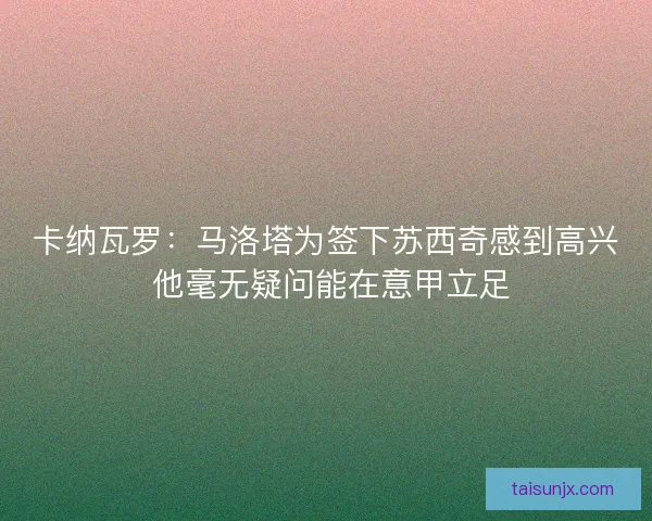 卡纳瓦罗:马洛塔为签下苏西奇感到高兴 他毫无疑问能在意甲立足 卡纳瓦罗:马洛塔为签下苏西奇感到高兴 他毫无疑问能在意甲立足